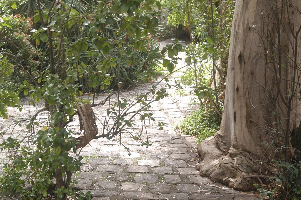 Hotel Acacias De Vitacura Santiago Dış mekan fotoğraf